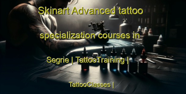 Skinart Advanced tattoo specialization courses in Segrie | TattooTraining | TattooClasses | SkinartTraining-France